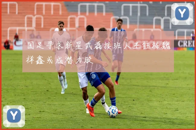 国足寻求新星武磊接班人王钰栋魏祥鑫或成潜力股