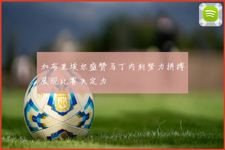 加布里埃尔盛赞马丁内利努力拼搏展现比赛决定力